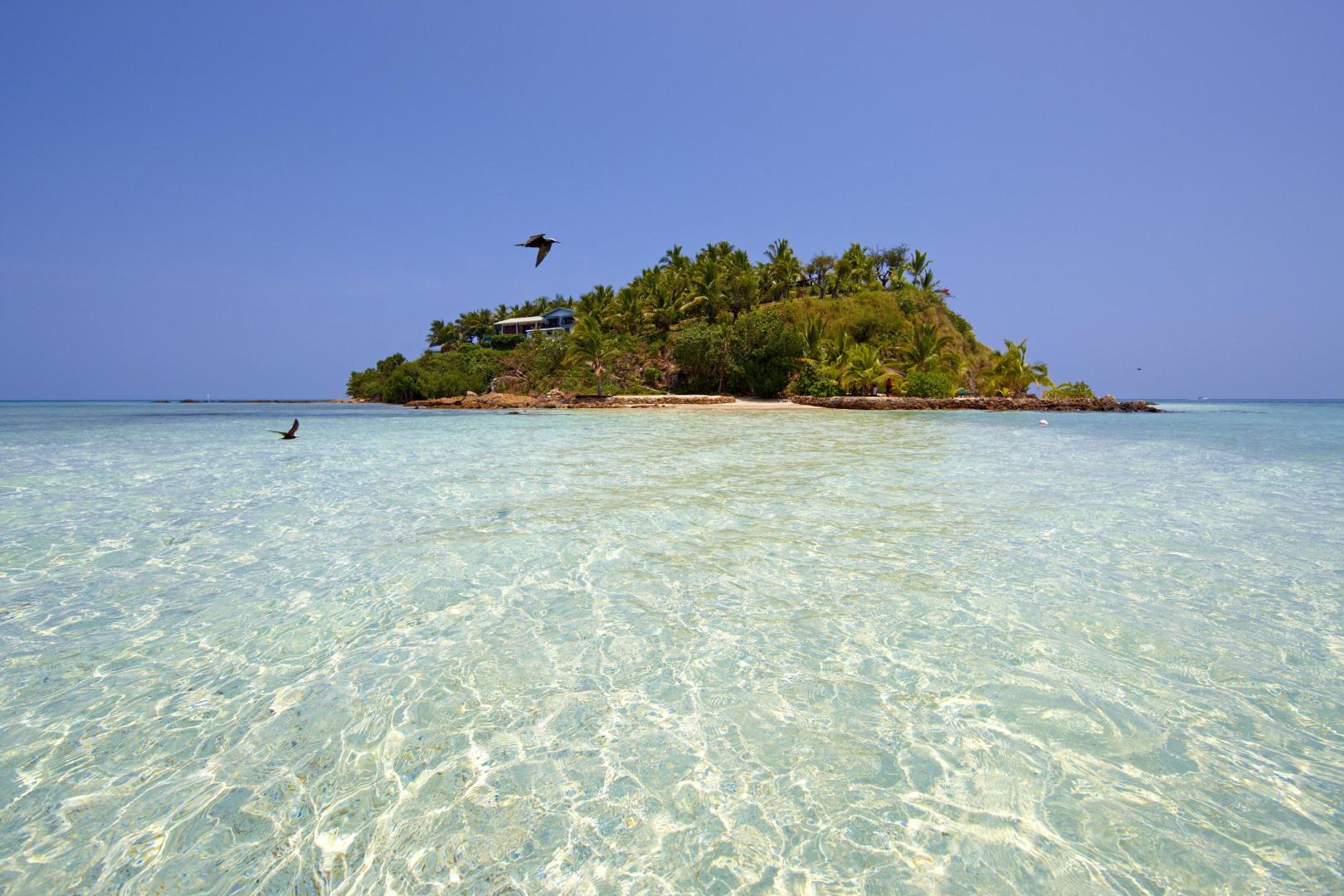 Wadigi Island image