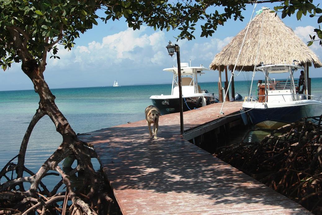 Jewel Caye image