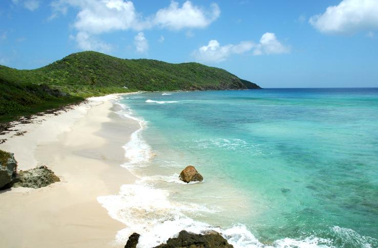 Guana Island image