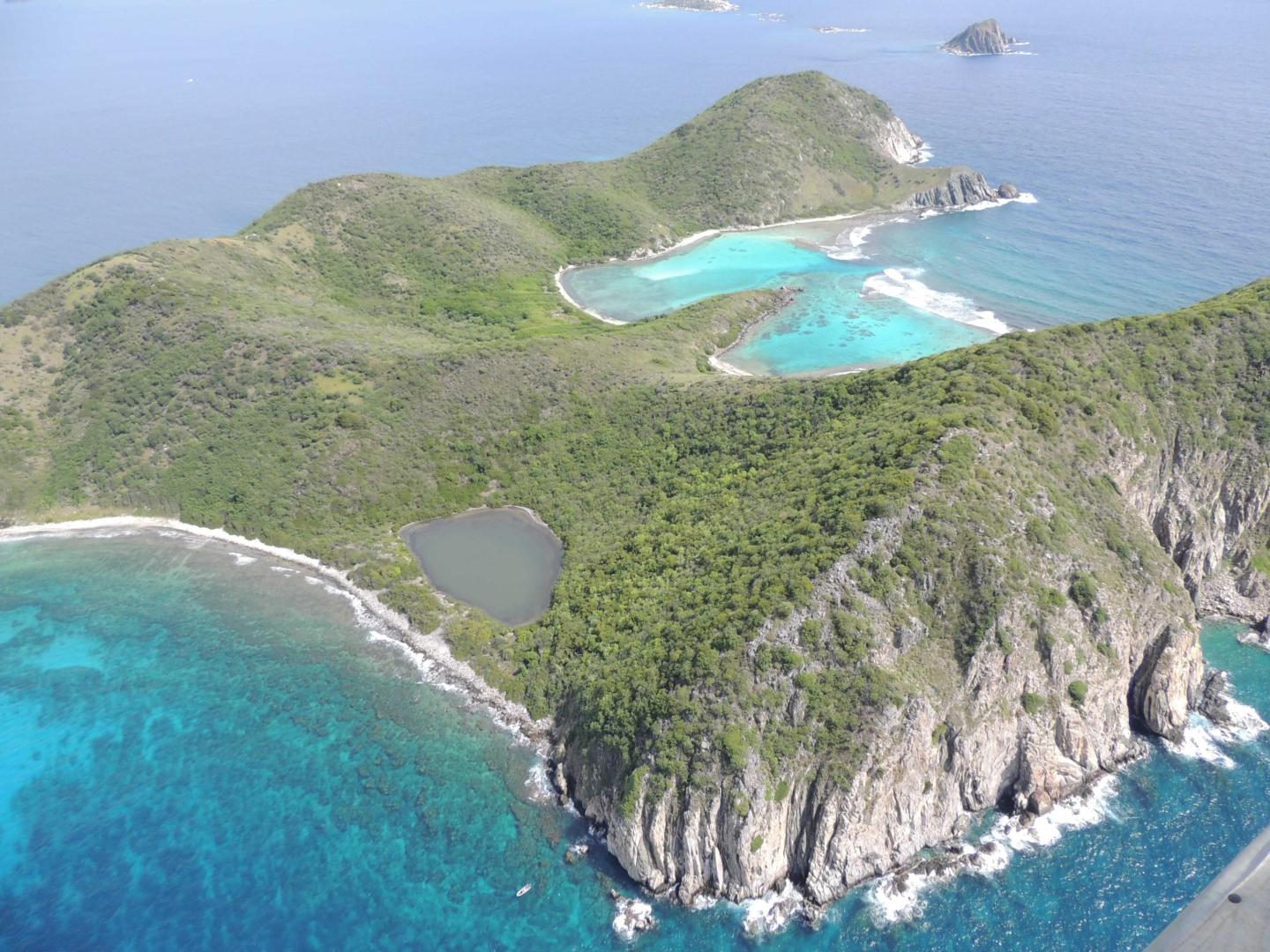 Ginger Island image