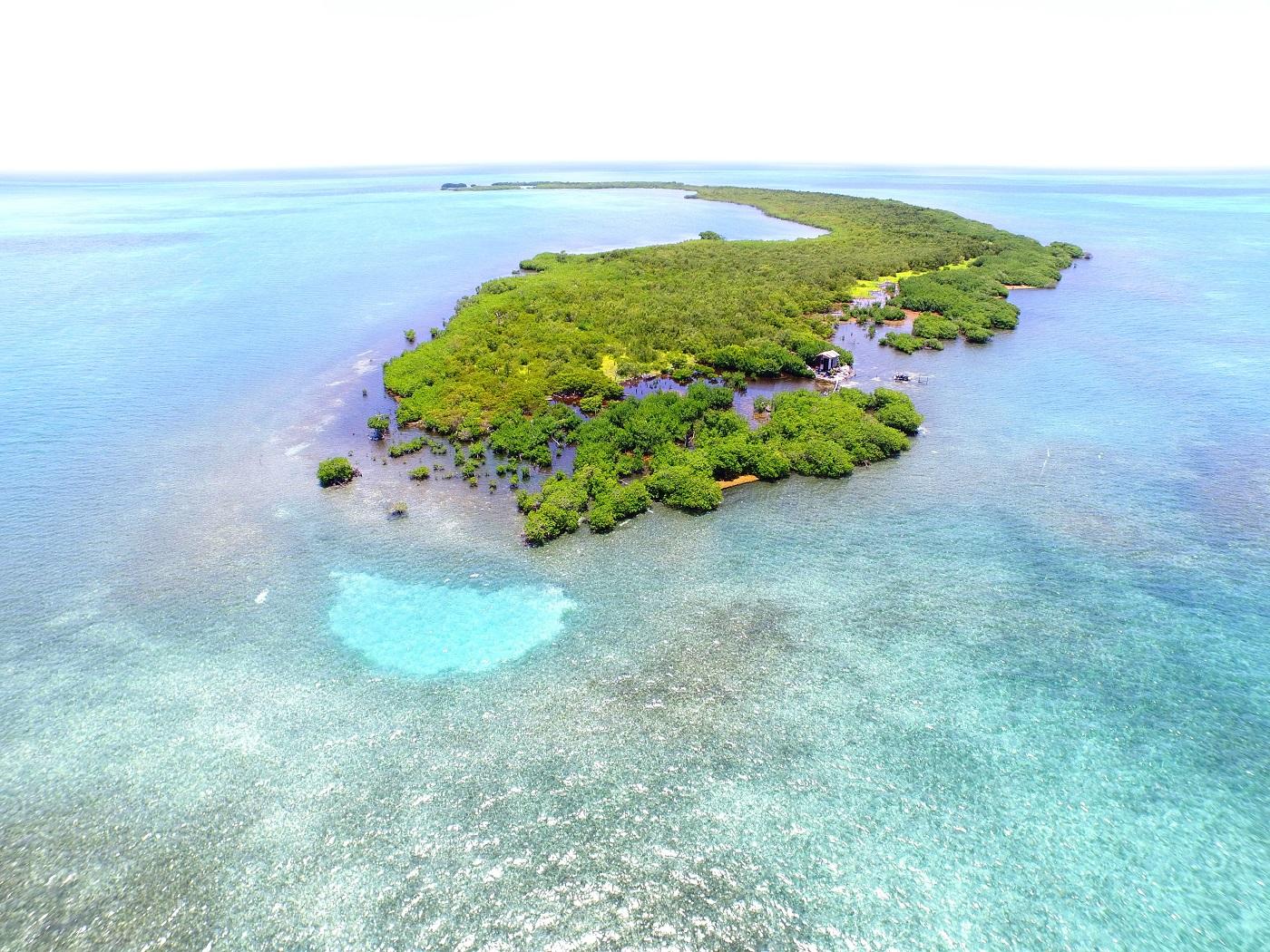 Crawl Caye (Belize City) image
