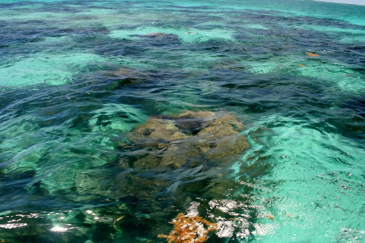 Crawl Caye (Belize City) image