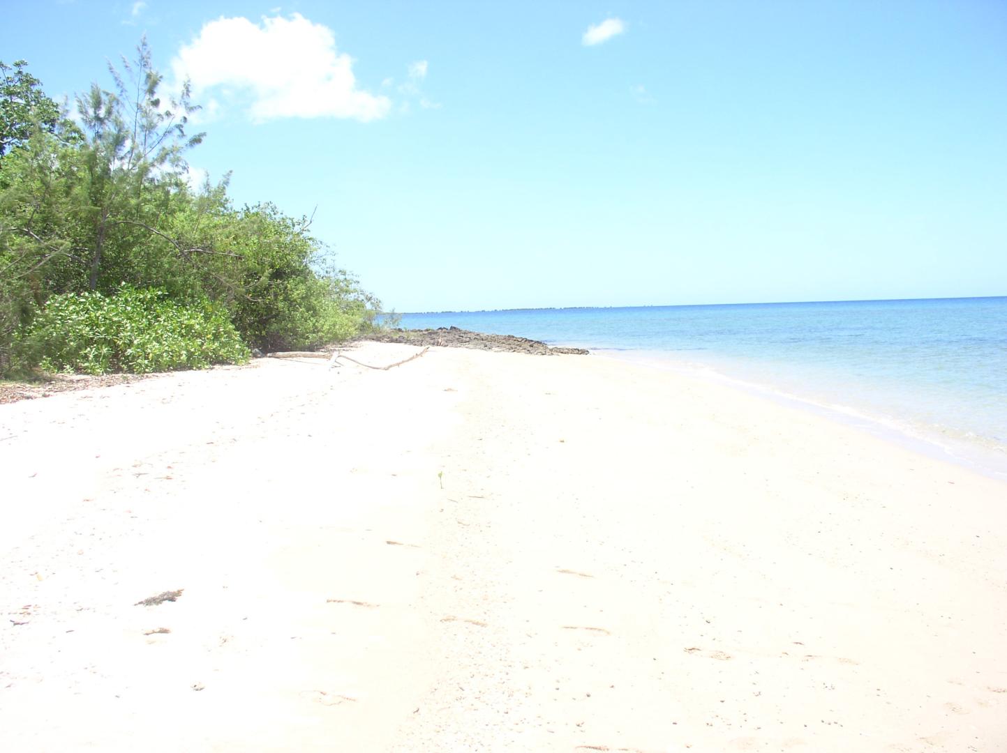 Tivi Island image