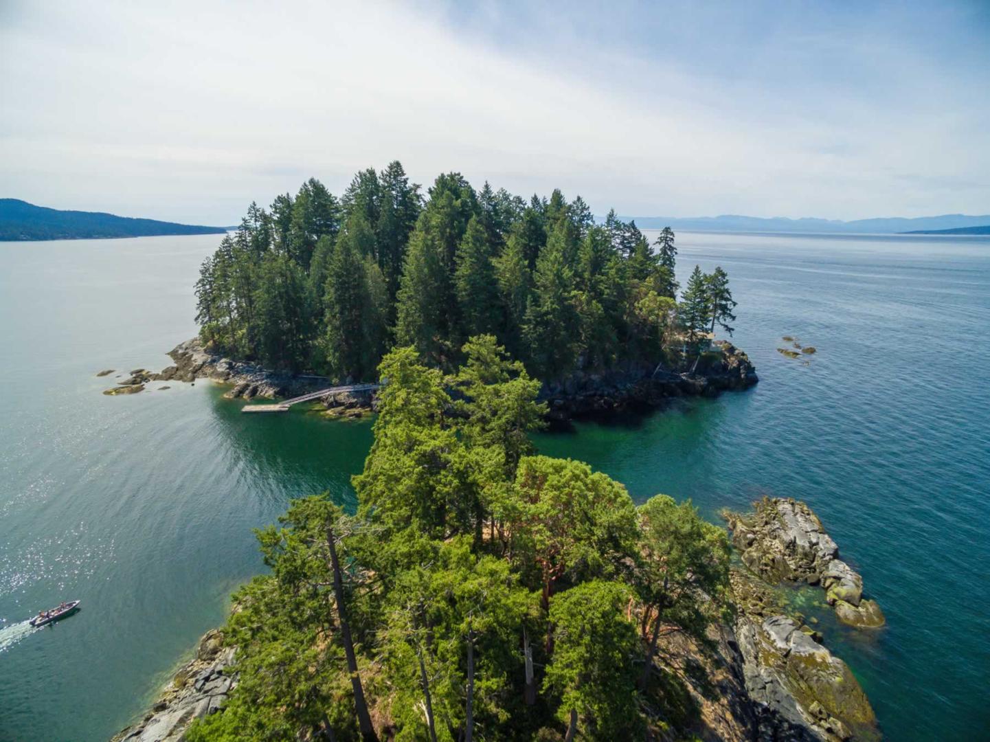 Whitestone Island image
