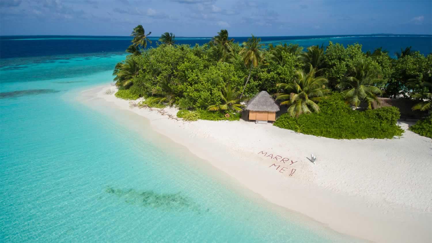 W Maldives image
