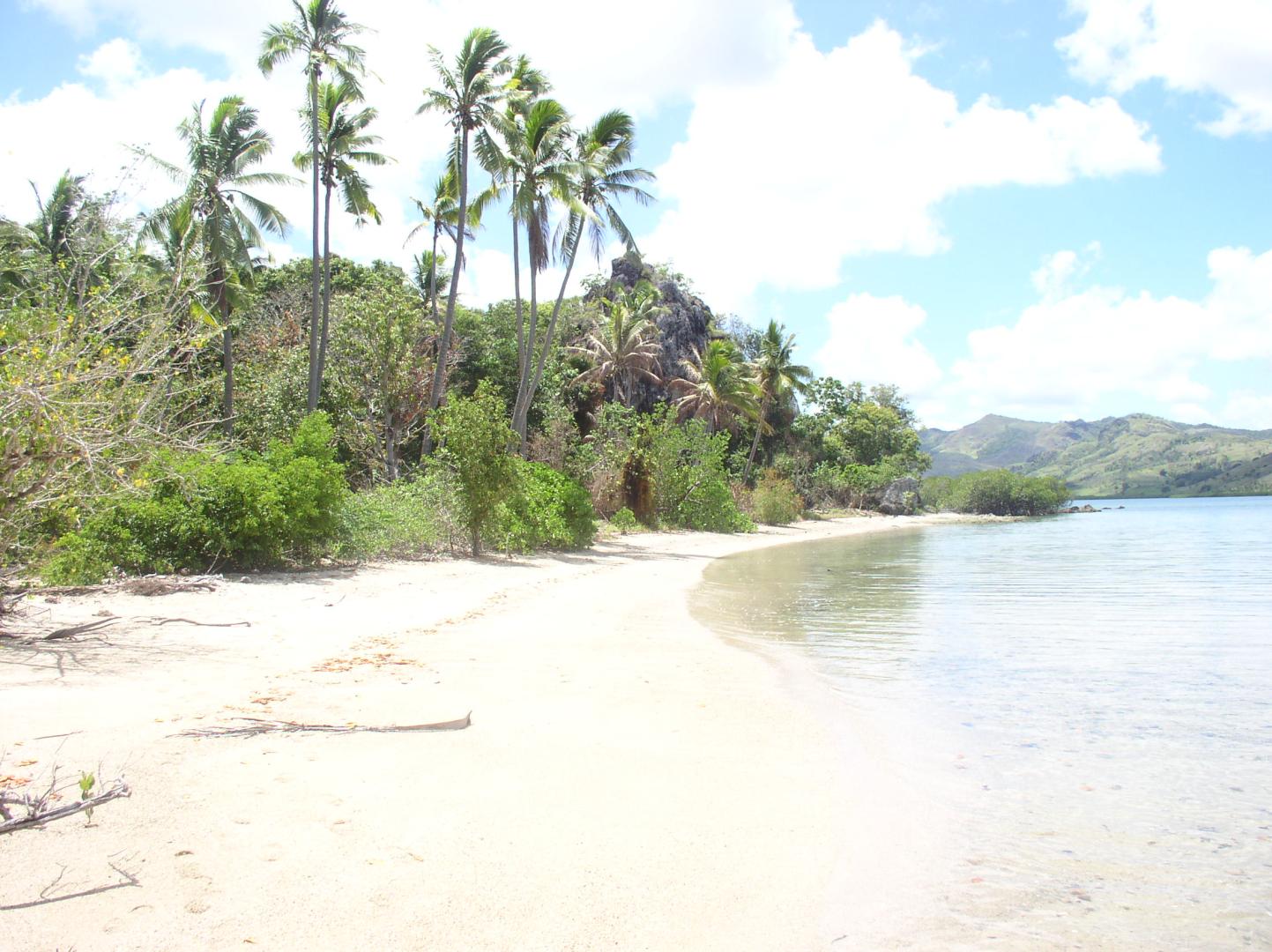 Tivi Island image