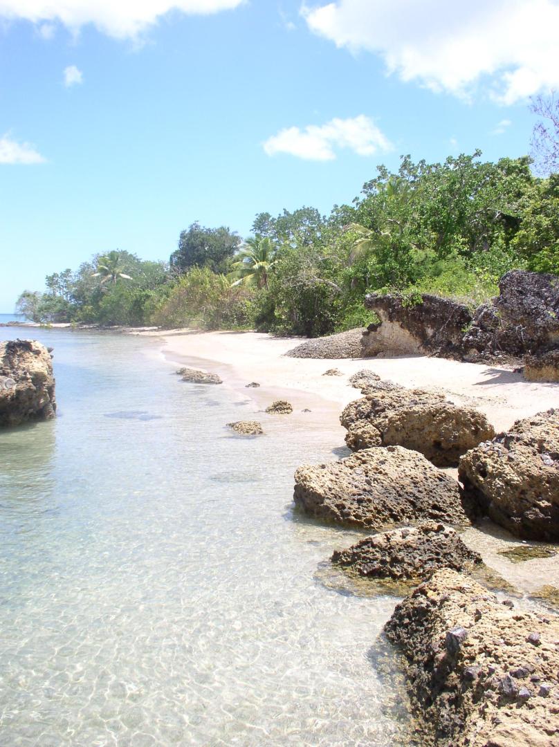 Tivi Island image