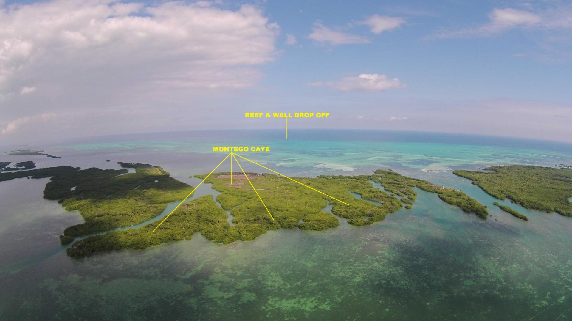 Montego Caye image