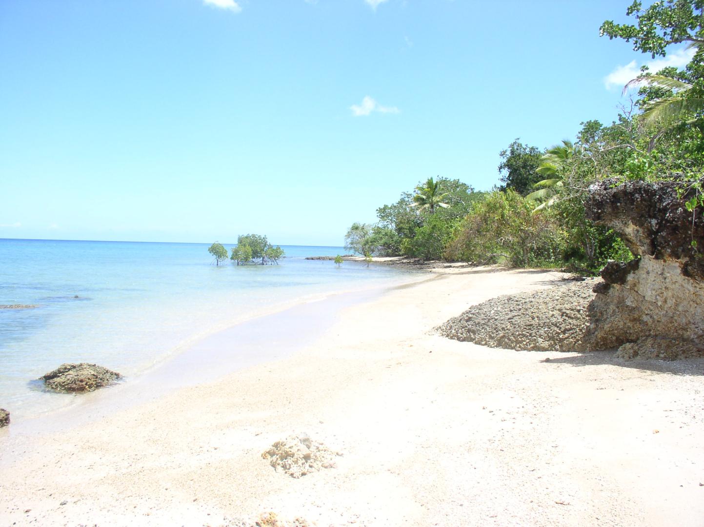 Tivi Island image