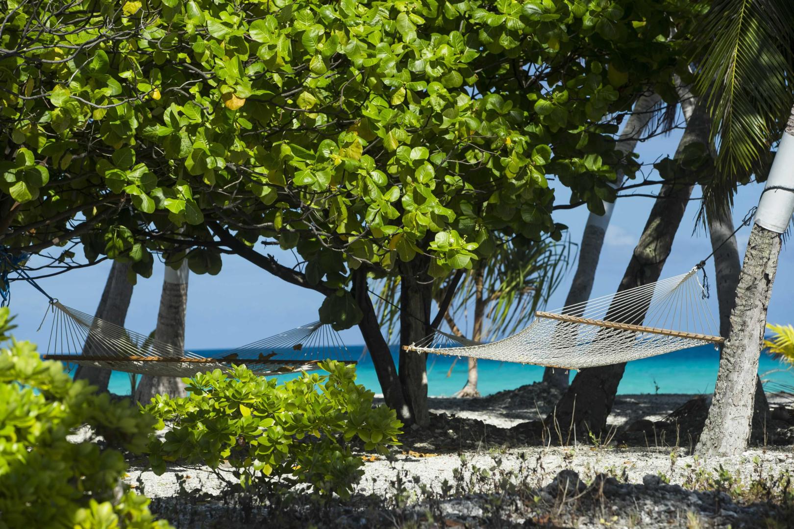 Tikehau Fafarua Lodge image