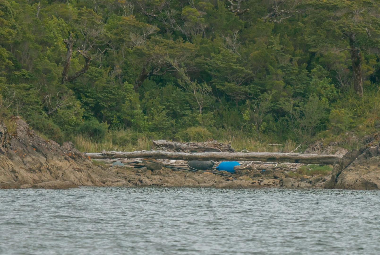 Isla Garcia – Private island in Chile, South America