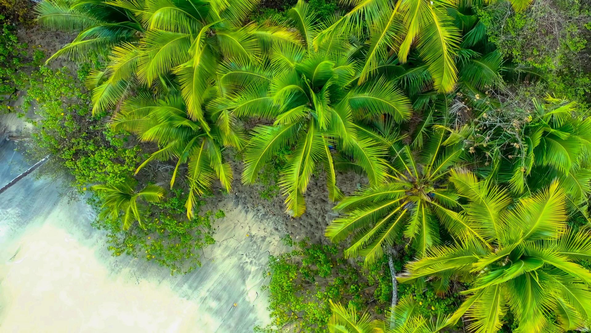 Isla Gitana – Private island in Panama, Central America