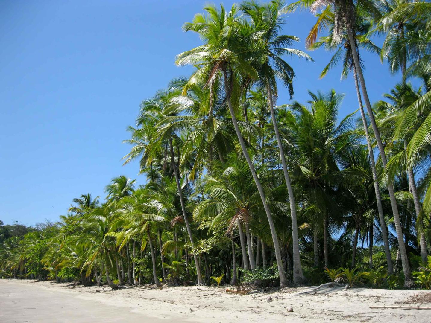 Parida Island – Private island in Panama, Central America