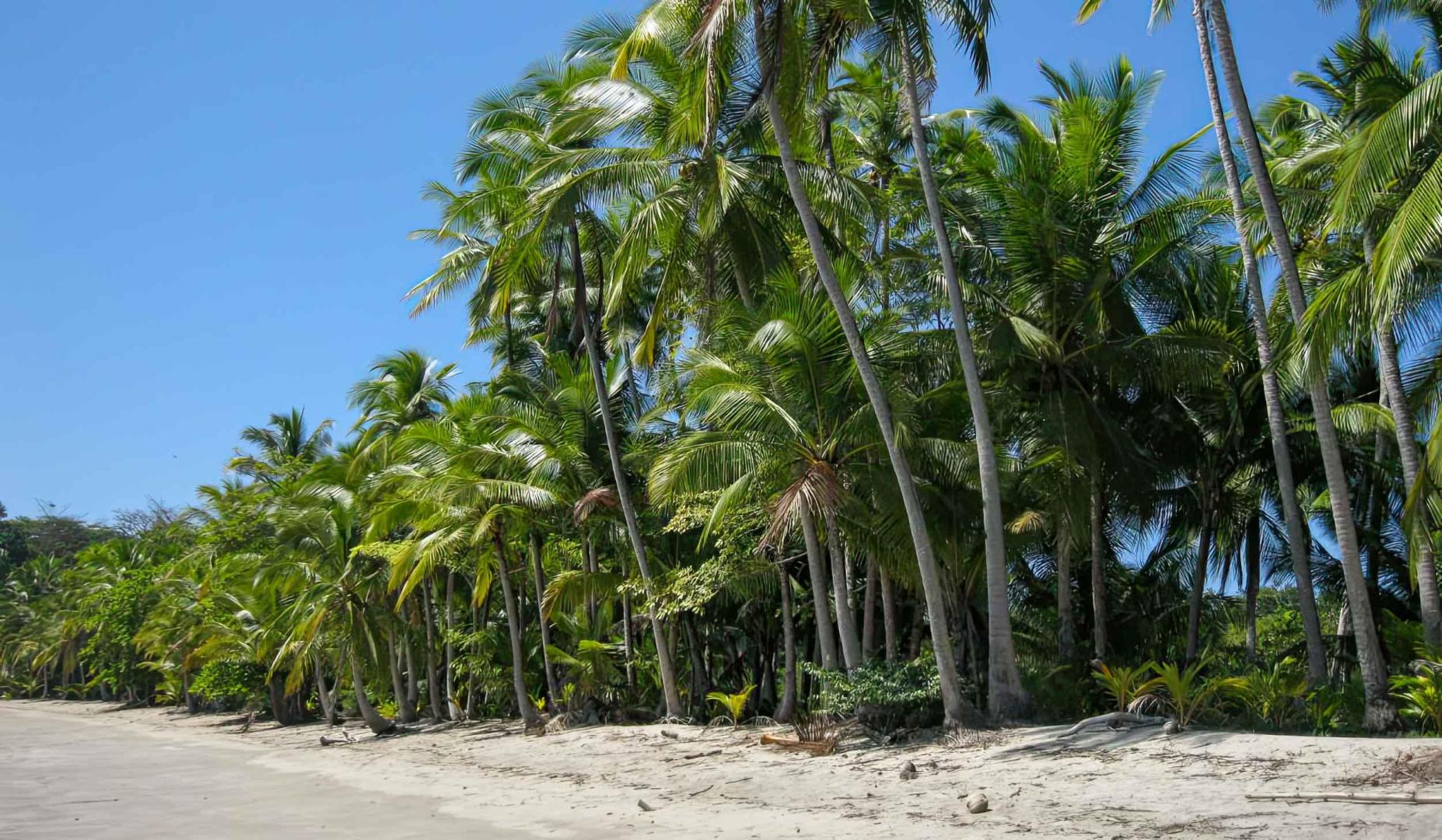 Parida Island – Private island in Panama, Central America
