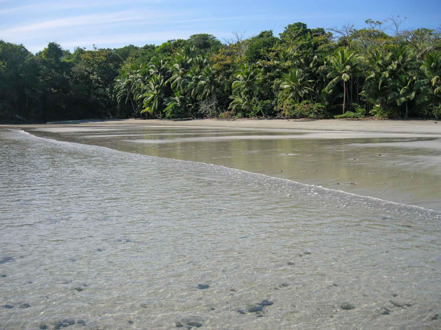 Parida Island – Private island in Panama, Central America