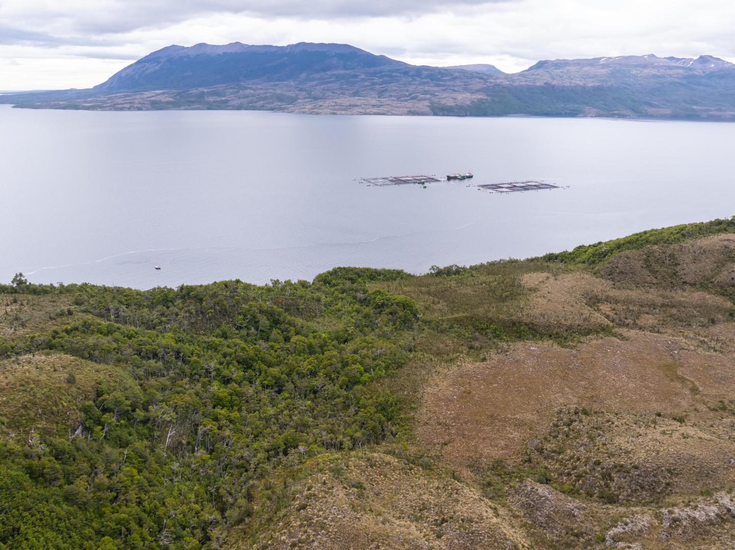 Isla Diego Portales – Private island in Chile, South America