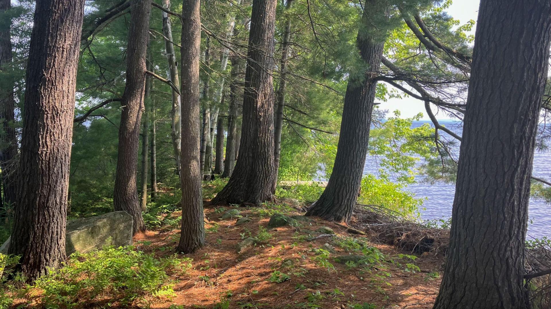 Lonely Island – Private island in Northern Ontario, Ontario, Canada
