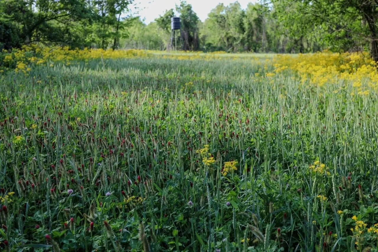 Lost Brake – Private island in Missouri, United States