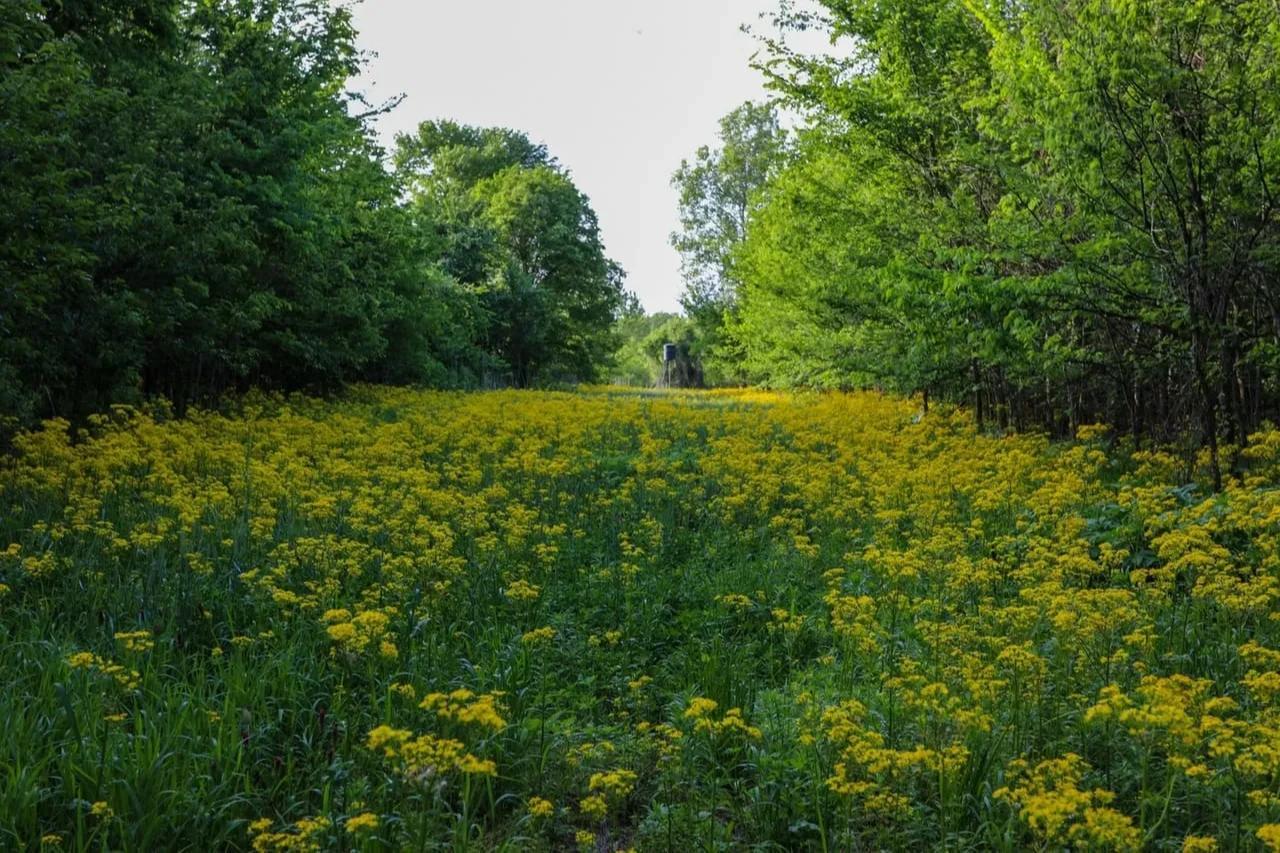 Lost Brake – Private island in Missouri, United States