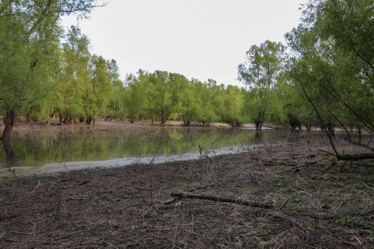 Lost Brake – Private island in Missouri, United States