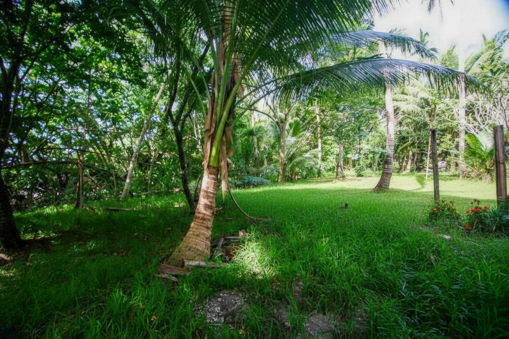 Malwepe Island – Private island in Vanuatu, South Pacific