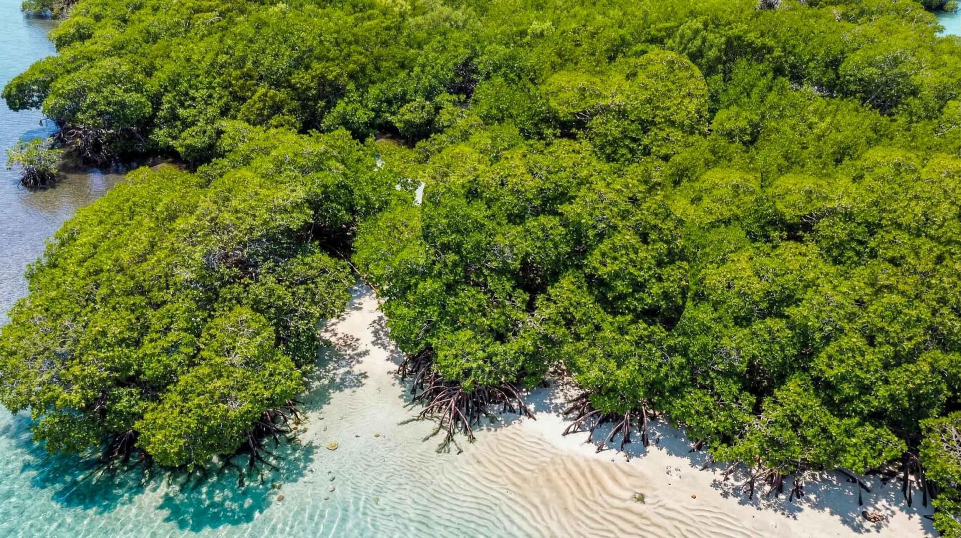 Meridian Cay – Private island in Belize, Central America