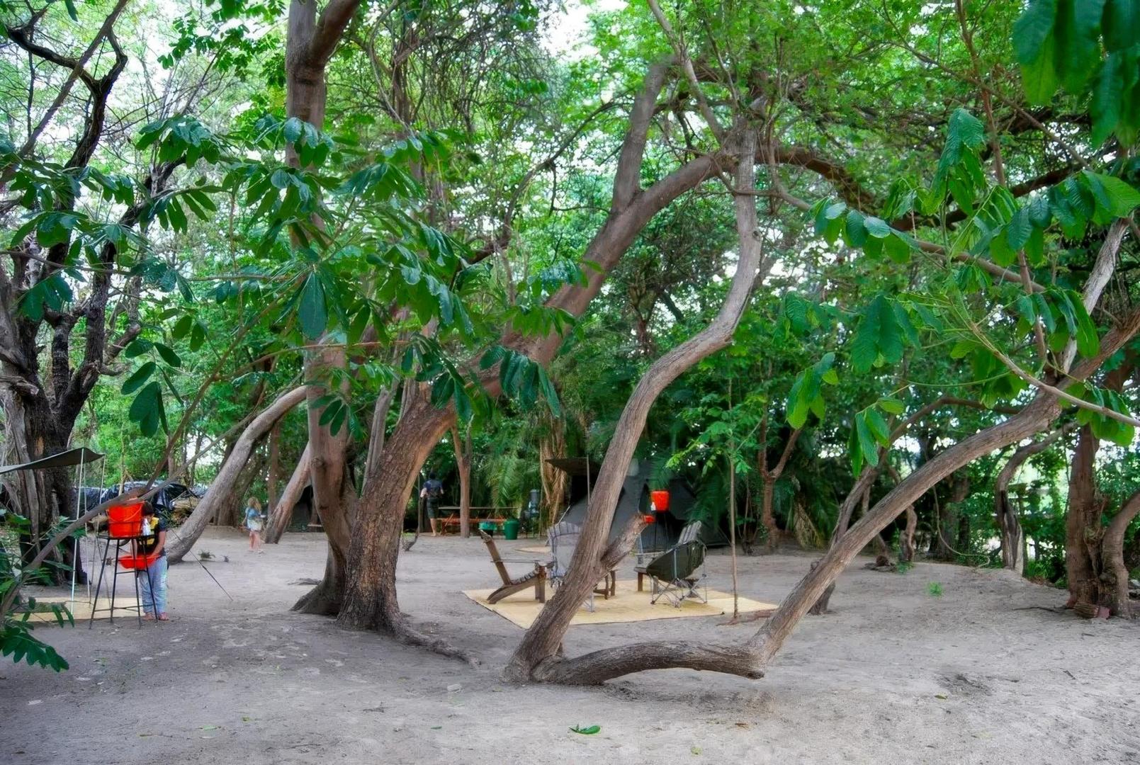Nampeni Island – Private island in Zambia, Africa