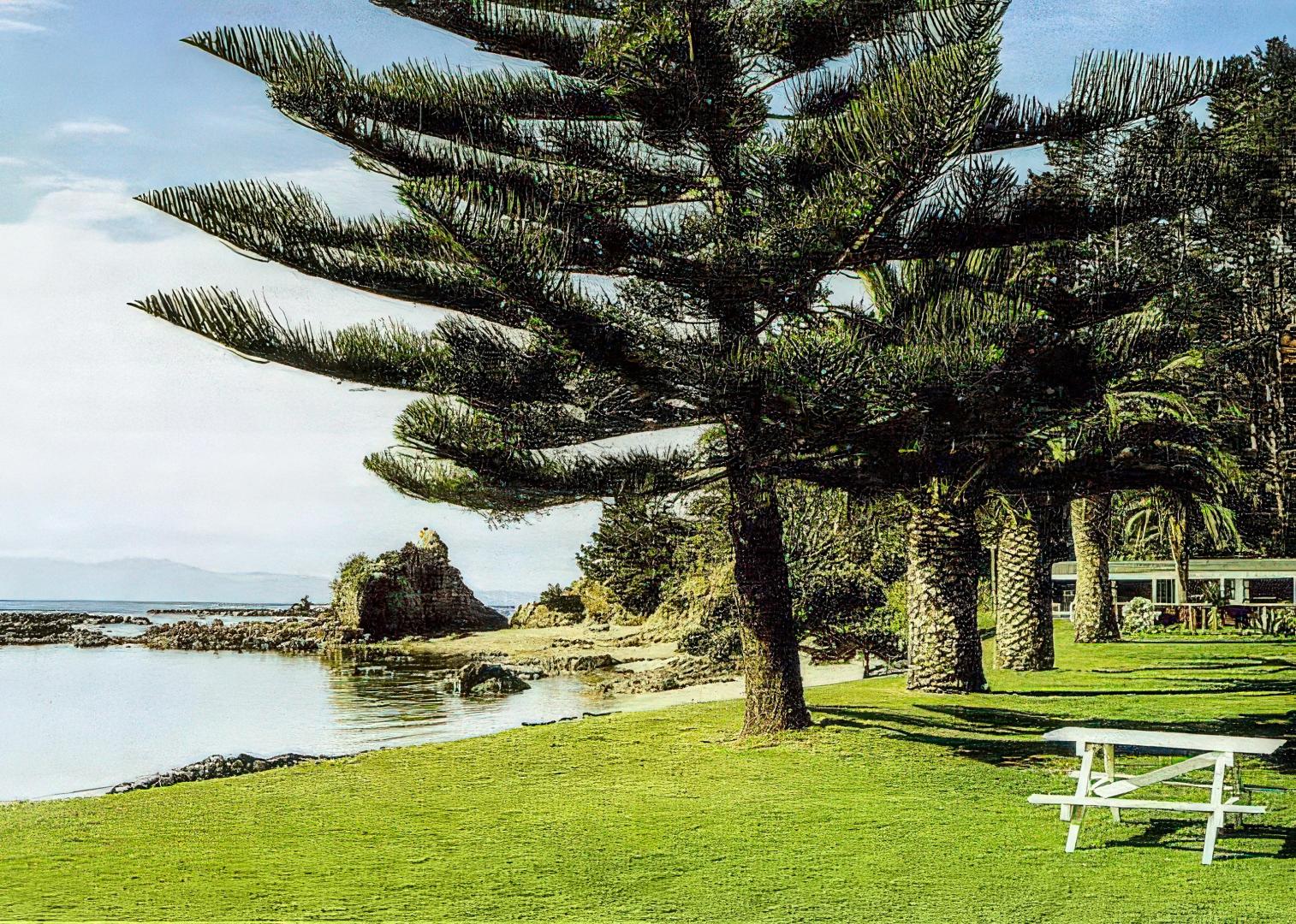 Pakatua Island – Private island in New Zealand, South Pacific
