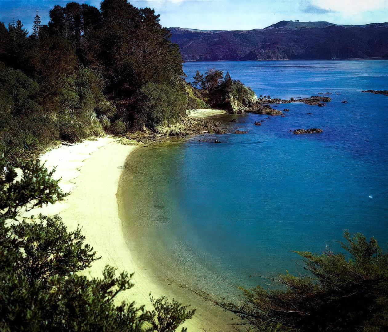Pakatua Island – Private island in New Zealand, South Pacific