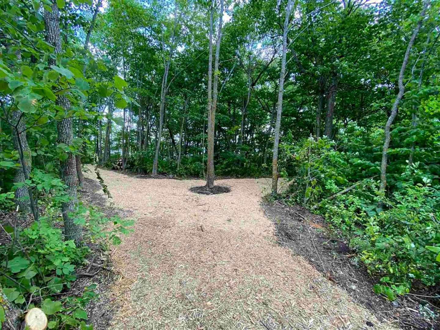 Private Island Lake of the Woods – Private island in Northern Ontario, Ontario, Canada