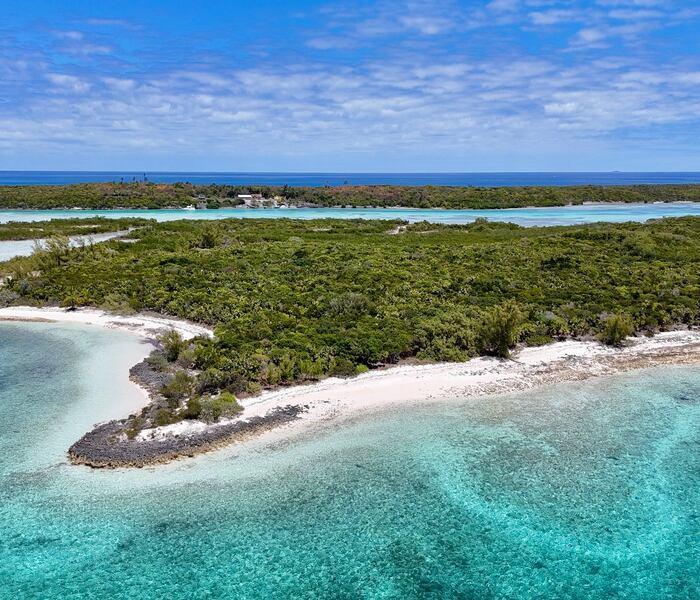 Sand Dollar Cay – Private island in The Berry Islands, Bahamas, Caribbean