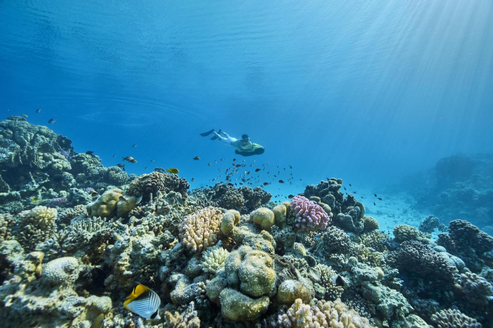 Shebara – Private island in Middle East