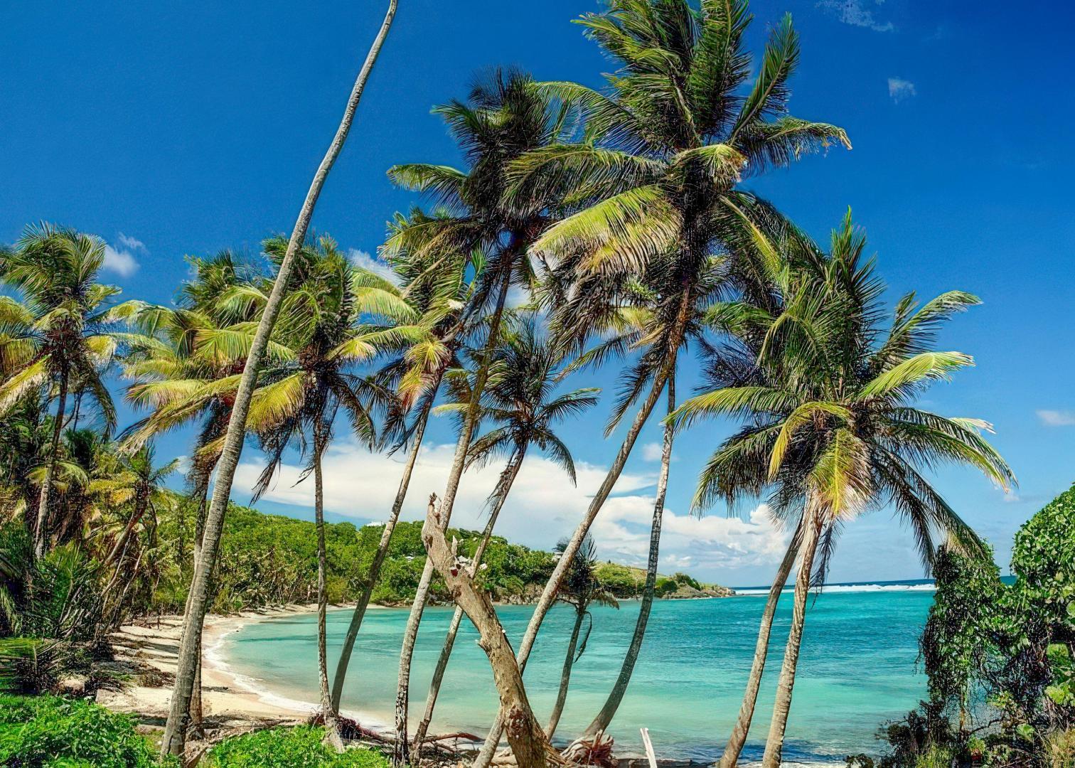 Sugar Reef Estate – Private island in Grenada, Caribbean