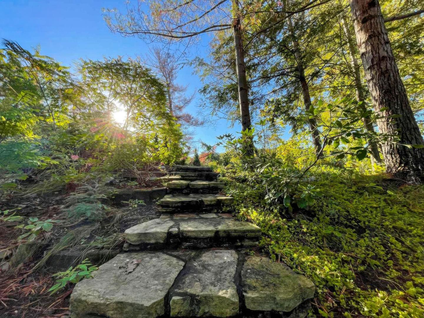 Veridian Island – Private island in Eastern Ontario, Ontario, Canada
