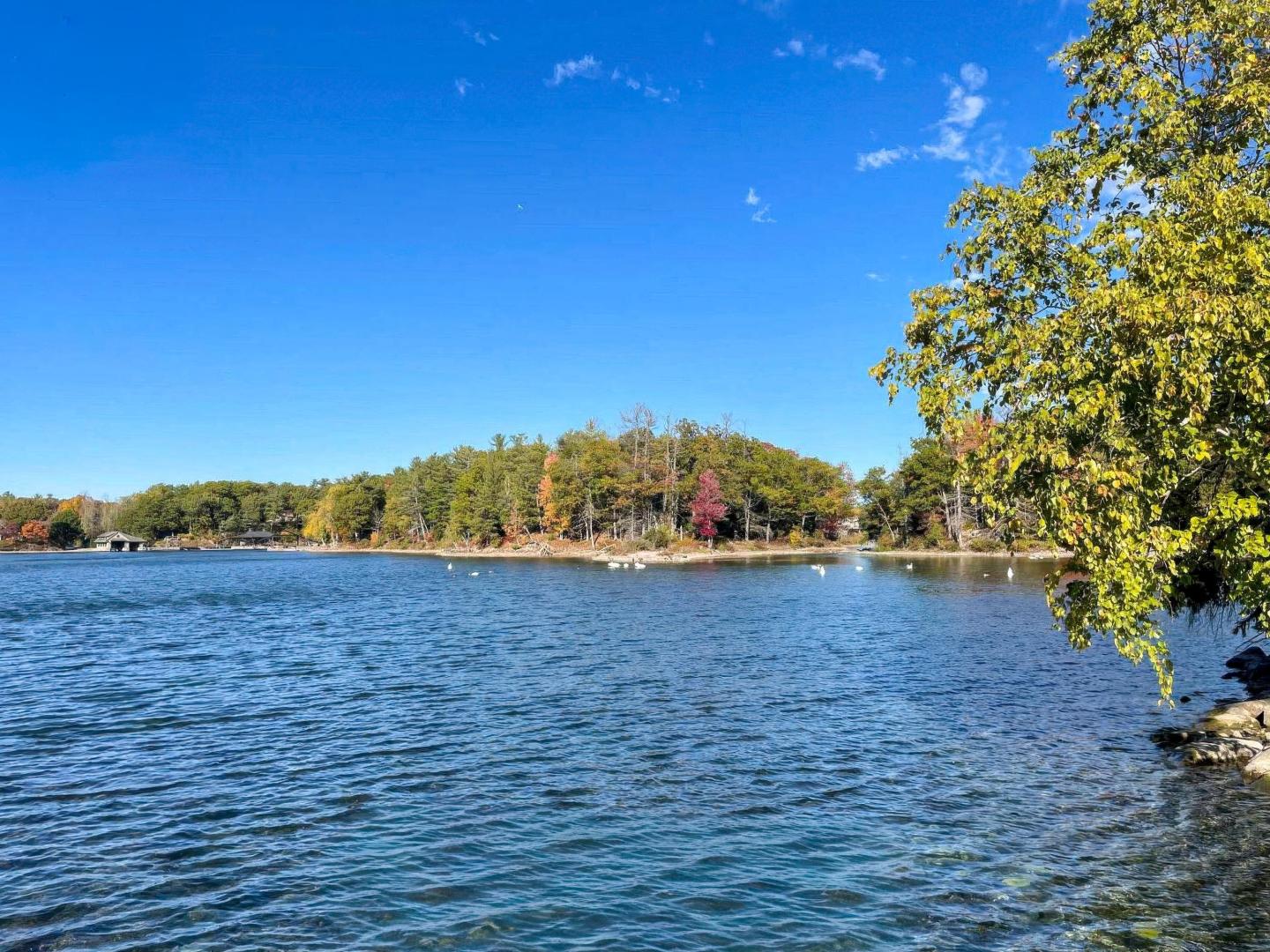 Veridian Island – Private island in Eastern Ontario, Ontario, Canada