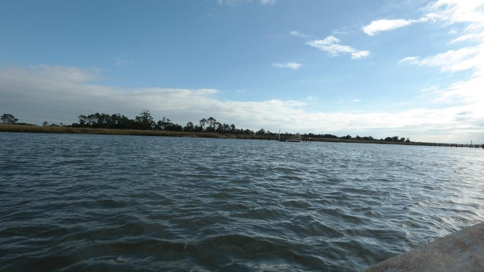 Stono Island image
