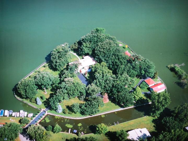 Treetop Island image