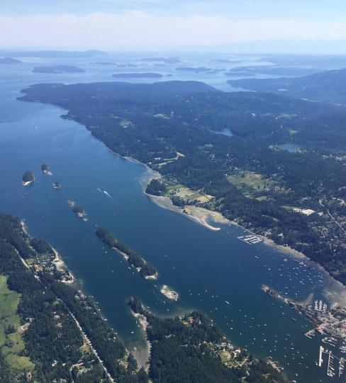 Goat Island image
