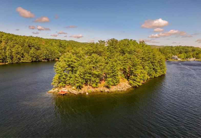 Rabbit Island image