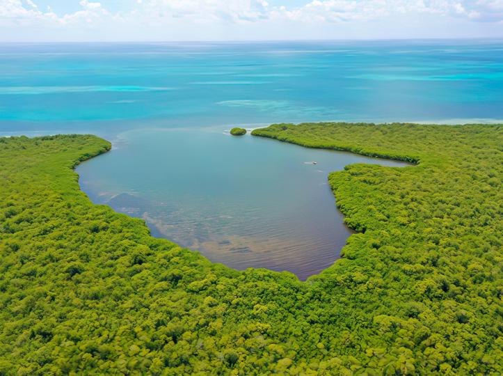 10 acres on Middle Long Caye – Private island in Belize, Central America
