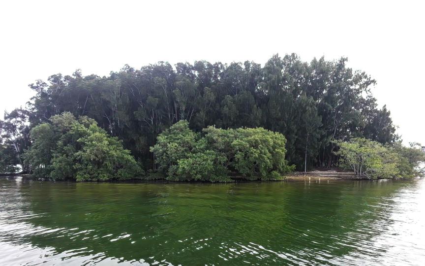1-Acre Private Island – Private island in Florida, United States
