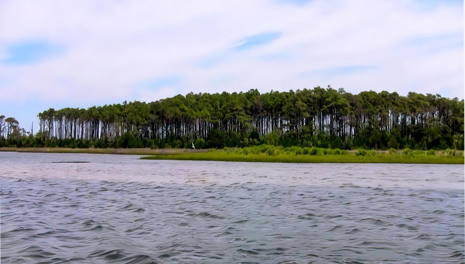 Bells Island image