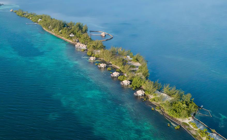 Thatch Caye image