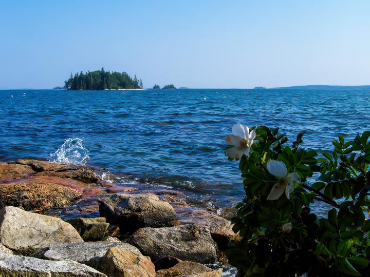 Oar Island – Private island in Maine, United States