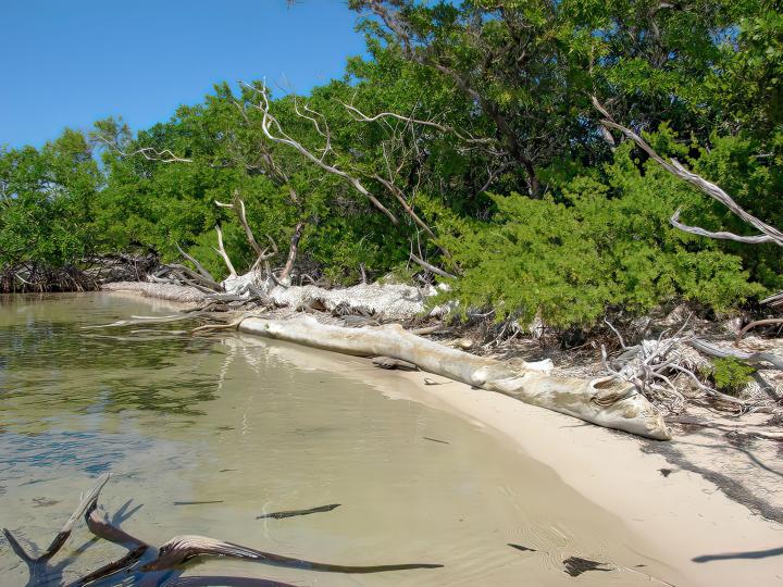 Beachfront Lot on Long Caye – Private island in Belize, Central America
