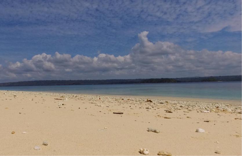 Dany Island – Private island in Vanuatu, South Pacific
