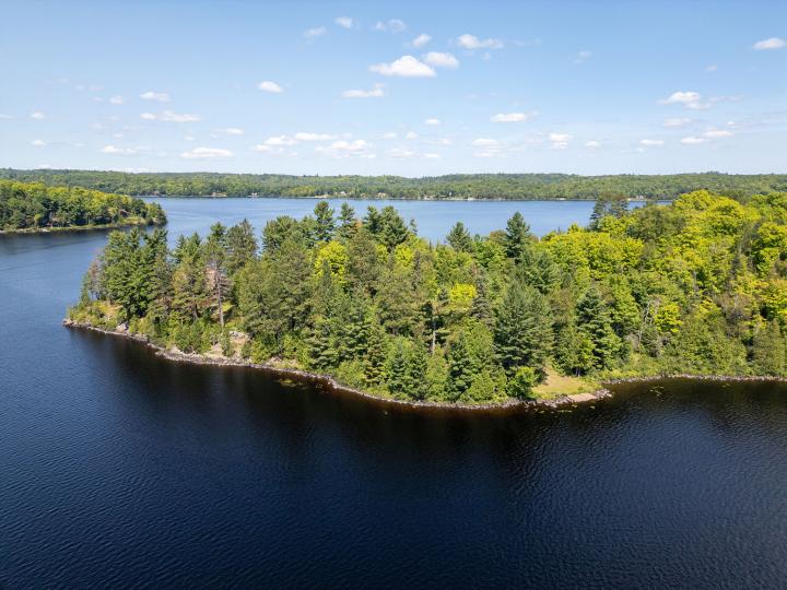 Lake Michigamme Island Lodge – Private island in Michigan, United States