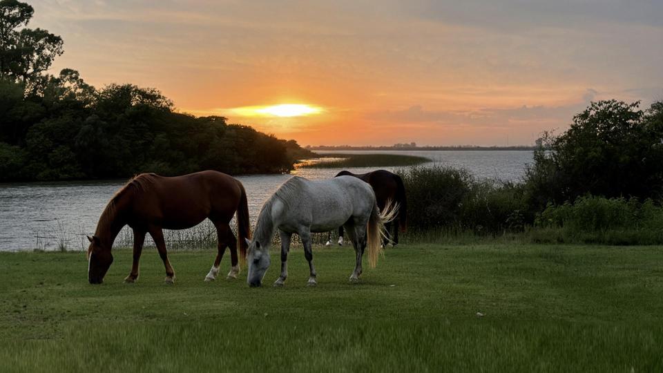 Estancia Isla de Lobos – Private island in Uruguay, South America