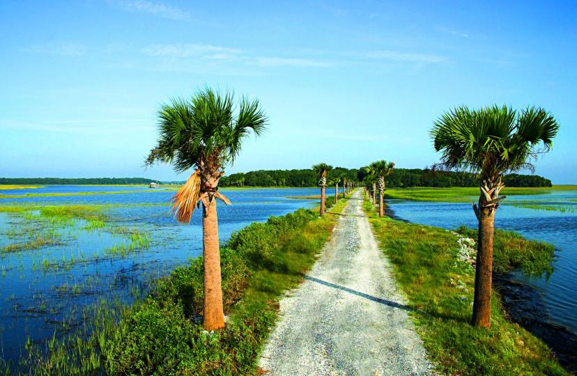 10 private islands for sale in South Carolina, United States